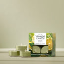 Yankee Candle Scented Tea Light Candles, Sage & Citrus, 0.44 OZ, 12-Count, Pack of 2 (24 Candles Total)