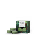 Yankee Candle Scented Tea Light Candles, Balsam & Cedar, 0.44 OZ, 12 Count, Pack of 2 (24 Candles Total)
