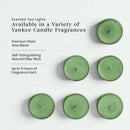 Yankee Candle Scented Tea Light Candles, Balsam & Cedar, 0.44 OZ, 12 Count, Pack of 2 (24 Candles Total)