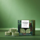 Yankee Candle Scented Tea Light Candles, Balsam & Cedar, 0.44 OZ, 12 Count, Pack of 2 (24 Candles Total)
