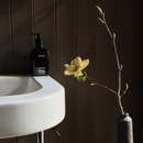 Homecourt The Home Essentials Set (Steeped Rose) Variety Pack