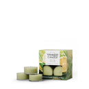 Yankee Candle Scented Tea Light Candles, Sage & Citrus, 0.44 OZ, 12-Count, Pack of 2 (24 Candles Total)
