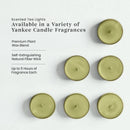 Yankee Candle Scented Tea Light Candles, Sage & Citrus, 0.44 OZ, 12-Count, Pack of 2 (24 Candles Total)