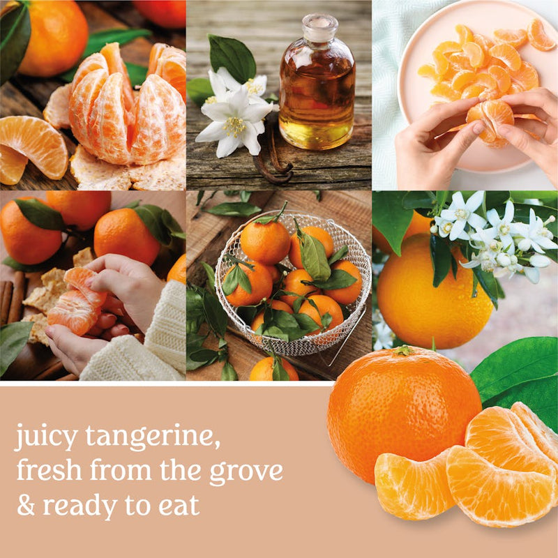 Yankee Candle Tangerine & Vanilla Scenterpiece Easy MeltCup (Pack of 6)