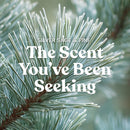 Yankee Candle Large Tumbler Scented Candle, Silver Sage & Pine, 20 oz