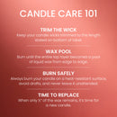 Yankee Candle Medium Pillar Scented Candle, Apple Pumpkin, 14.25 oz (2-Pack)