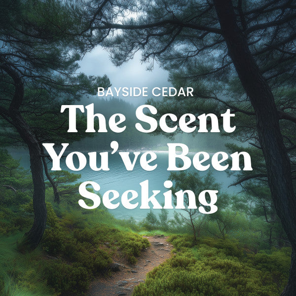 Yankee Candle Medium Pillar Scented Candle, Bayside Cedar, 14.25 oz (2-Pack)