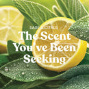 Yankee Candle Medium Pillar Scented Candle, Sage & CItrus, 14.25 oz, 2-Pack