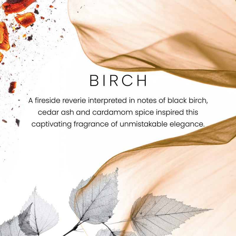 Yankee Candle Premium Small Scented Jar Candle with up to 60 Hour Burn Time, Birch, 7 OZ