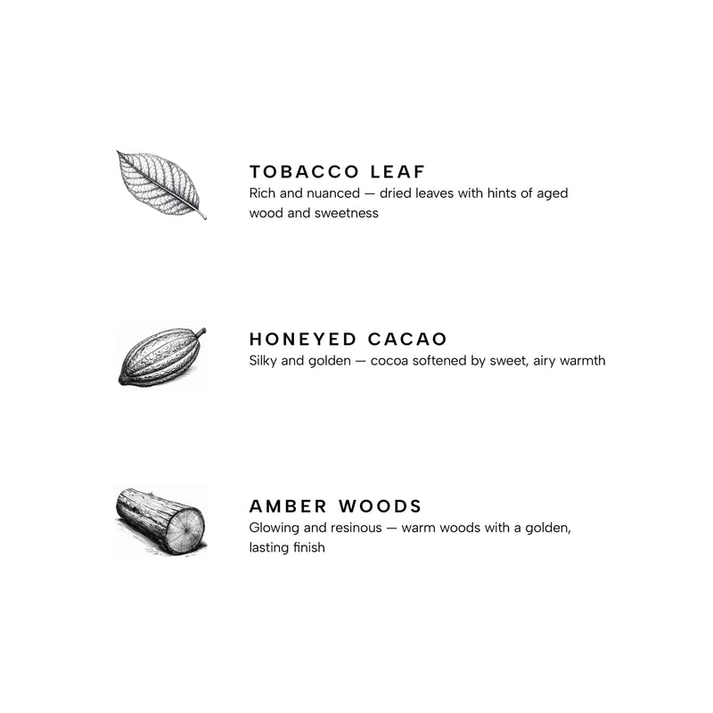 Yankee Candle Premium Small Scented Jar Candle with up to 60 Hour Burn Time, Amber, 7 OZ