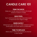 Yankee Candle Medium Pillar Scented Candle, Macintosh, 14.25 oz (2-Pack)