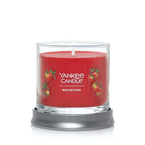 Yankee Candle Small Tumbler Scented Single Wick Jar Candle, Macintosh, Over 20 Hours of Burn Time, 4.3 Ounce (Pack of 2)