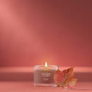 Yankee Candle Signature Votive Mini Candle Jar, Autumn Leaves, Natural Soy Wax Blend Candle with Natural Fiber Wick, 1.3 OZ Glass Jar (Pack of 12)