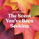 Yankee Candle Large Tumbler Scented Candle, Autumn Leaves, 20 oz