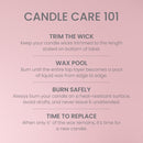 Yankee Candle Large Tumbler Scented Candle, Vanilla Cupcake, 20 oz