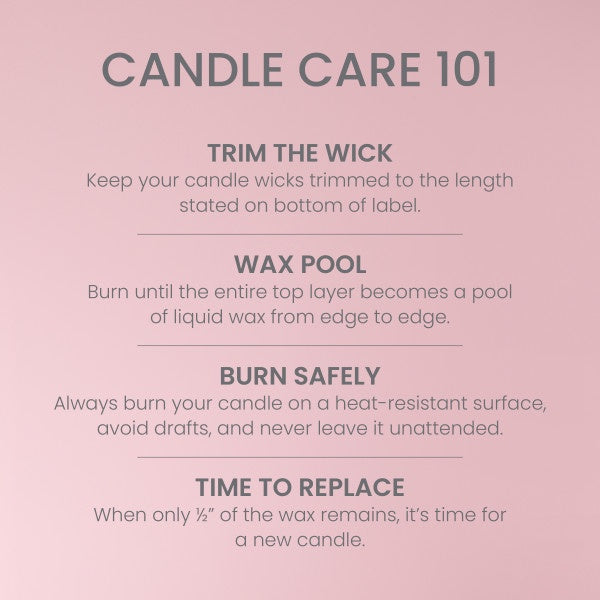 Yankee Candle Large Tumbler Scented Candle, Vanilla Cupcake, 20 oz