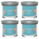 Yankee Candle Small Tumbler Scented Single Wick Jar Candle, Catching Rays, Over 20 Hours of Burn Time, 4.3 Ounce (Pack of 4)