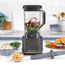Oster XL Professional Blender with High Performance Motor