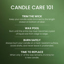 Yankee Candle Medium Pillar Scented Candle, Balsam & Cedar, 14.25 oz (2-Pack)