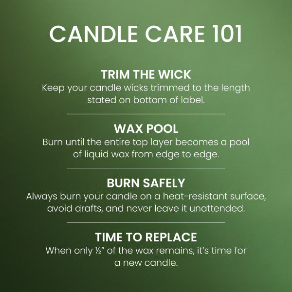 Yankee Candle Medium Pillar Scented Candle, Balsam & Cedar, 14.25 oz (2-Pack)