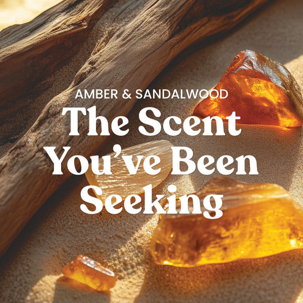 Yankee Candle Medium Pillar Scented Candle, Amber & Sandalwood, 14.25 oz (2-Pack)