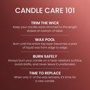 Yankee Candle Large Tumbler Scented Candle, Kitchen Spice, 20 oz