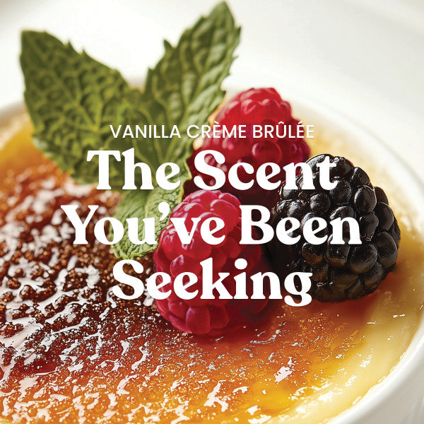 Yankee Candle Medium Pillar Scented Candle, Vanilla Creme Brulee, 14.25 oz (2-Pack)