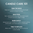 Yankee Candle Large Tumbler Scented Candle, Bayside Cedar, 20 oz