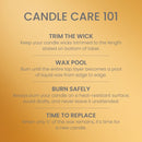 Yankee Candle Large Tumbler Scented Candle, Harvest, 20 oz