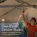 Coleman OASIS Lite 10 x 10 Canopy with Sun Wall, Black