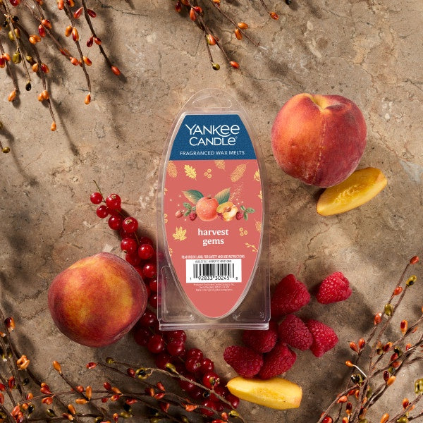 Yankee Candle Harvest Gems Fragranced Wax Melts, 6 Wax Spheres per Package, Pack of 4 (24 Cubes Total)
