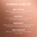 Yankee Candle Medium Pillar Scented Candle, Pumpkin Banana Scone, 14.25 oz, 2-Pack