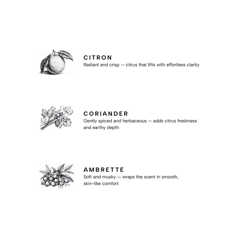 Yankee Candle Premium Small Scented Jar Candle with up to 60 Hour Burn Time, Citron, 7 OZ