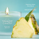 Yankee Candle Signature Votive Mini Candle Jar, Bahama Breeze, Natural Soy Wax Blend Candle with Natural Fiber Wick, 1.3 OZ Glass Jar (Pack of 12)