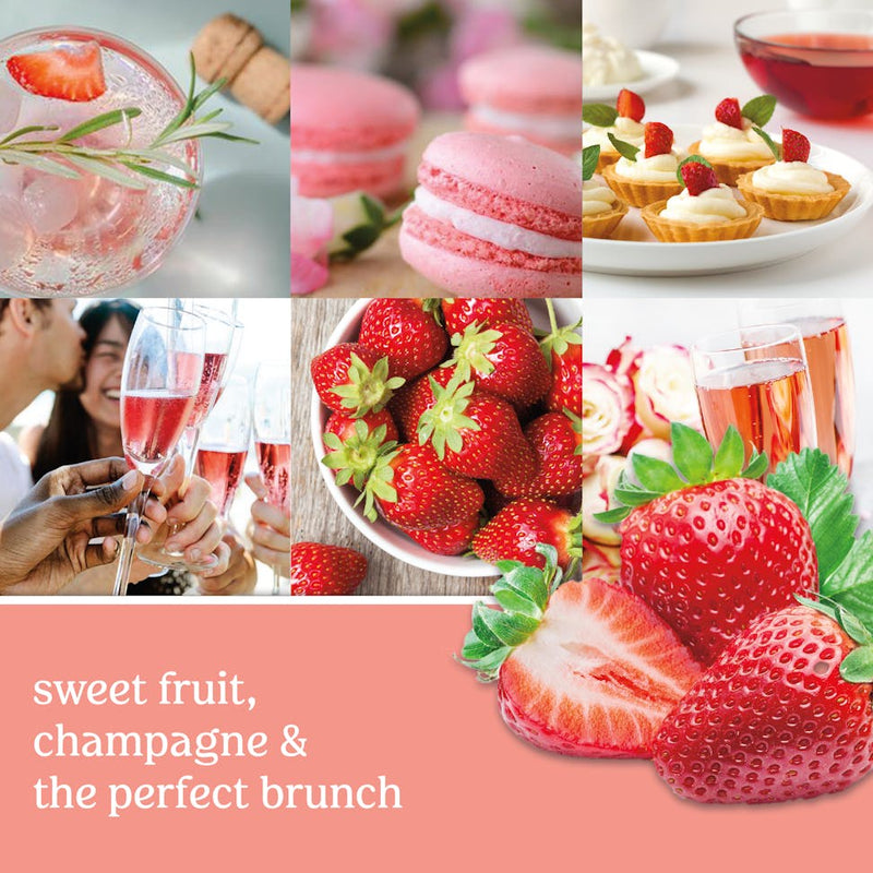 Yankee Candle White Strawberry Bellini Scenterpiece Easy MeltCup (Pack of 6)