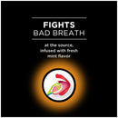 DenTek Comfort Clean Tongue Cleaner, Fresh Mint, 1 CT