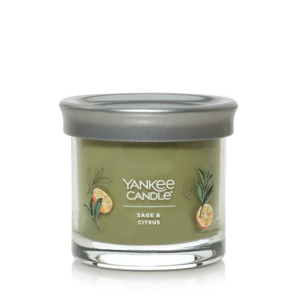 Yankee Candle Small Tumbler Scented Single Wick Jar Candle, Sage & Citrus, Over 20 Hours of Burn Time, 4.3 Ounce (Pack of 4)