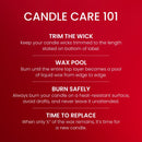 Yankee Candle Large Tumbler Scented Candle, Christmas Eve, 20 OZoz