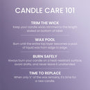 Yankee Candle Large Tumbler Scented Candle, Dried Lavender & Oak, 20 oz