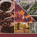 Yankee Candle Autumn Daydream Scenterpiece Easy MeltCup (Pack of 6)