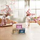 Yankee Candle Signature Votive Mini Candle Jar, Amber & Sandalwood Scent, Natural Soy Wax Blend Candle with Natural Fiber Wick, 1.3 OZ Glass Jar (Pack of 6)