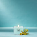 Yankee Candle Signature Votive Mini Candle Jar, Catching Rays, Natural Soy Wax Blend Candle with Natural Fiber Wick, 1.3 OZ Glass Jar (Pack of 12)