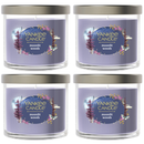Yankee Candle Signature Small Tumbler Candle, Moonlit Woods, 4.3 Ounces (Pack of 4)