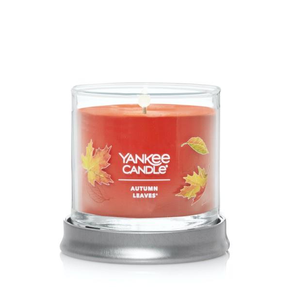 Yankee Candle Small Tumbler Scented Single Wick Jar Candle, Autumn Leaves, Over 20 Hours of Burn Time, 4.3 Ounce (Pack of 4)