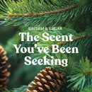 Yankee Candle Medium Pillar Scented Candle, Balsam & Cedar, 14.25 oz (2-Pack)