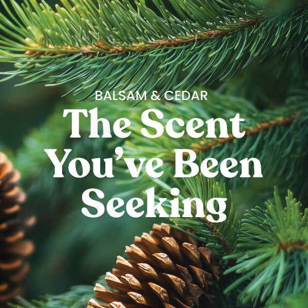 Yankee Candle Medium Pillar Scented Candle, Balsam & Cedar, 14.25 oz (2-Pack)