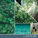 Yankee Candle Car Air Fresheners, Hanging Car Jar Ultimate, Neutralizes Odors Up To 30 Days, Bayside Cedar, 0.96 OZ (Pack of 4)