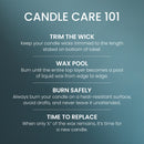 Yankee Candle Medium Pillar Scented Candle, Bayside Cedar, 14.25 oz, 2-Pack