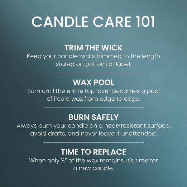 Yankee Candle Medium Pillar Scented Candle, Bayside Cedar, 14.25 oz (2-Pack)