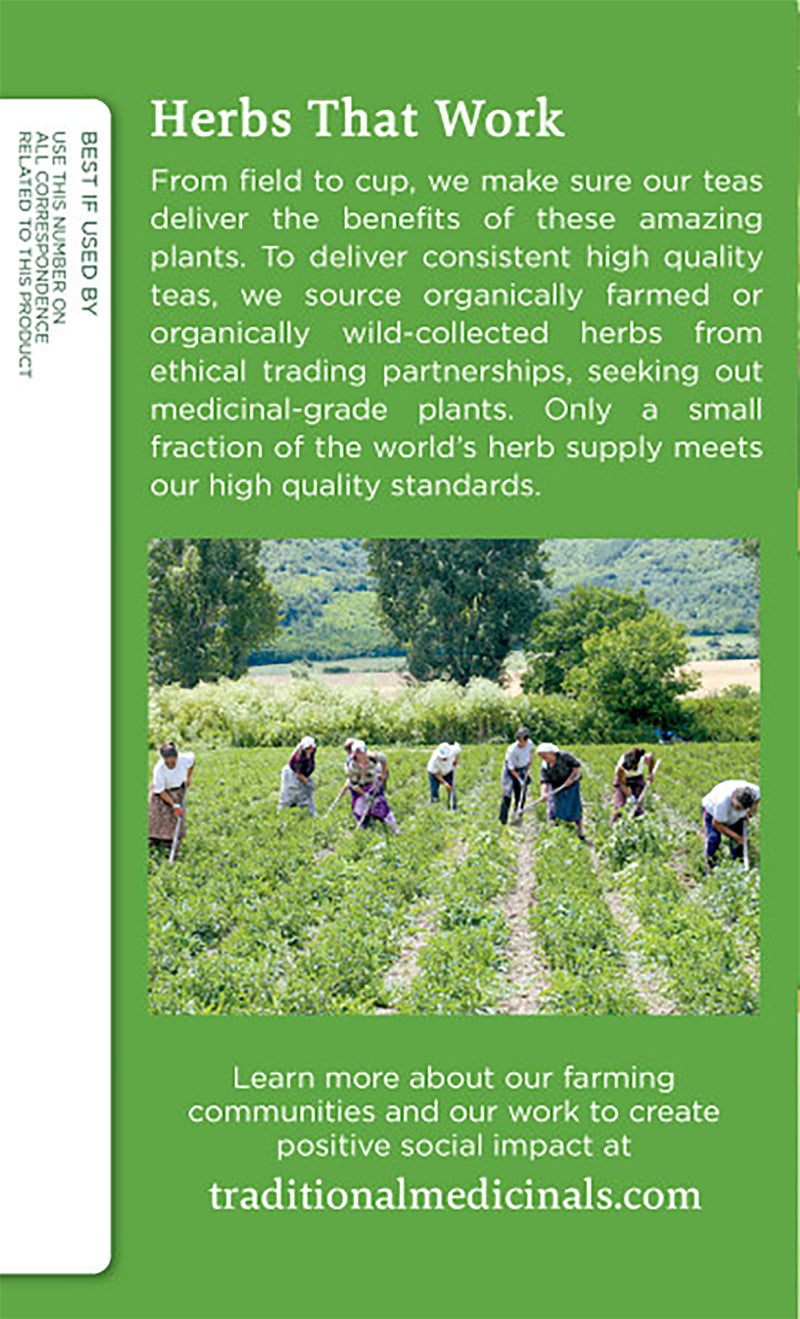 Traditional Medicinals Green Tea Peppermint Green Tea Organic, 16 CT - Trustables